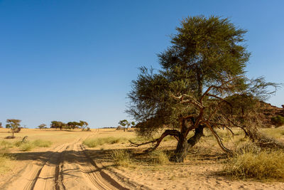 Trees on field against clear blue sky