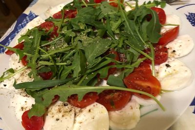 Close-up of meal served in plate