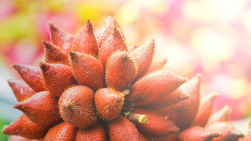 Close-up of strawberries