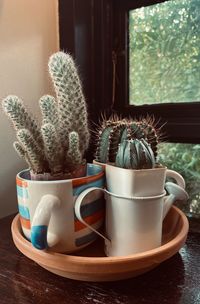 Close-up of potted plant on table at home