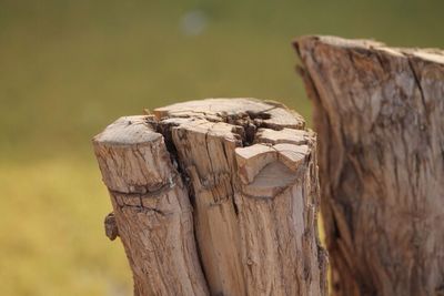 Close up of wood