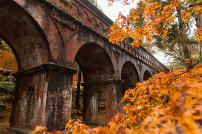 Arch bridge amidst trees and buildings during autumn