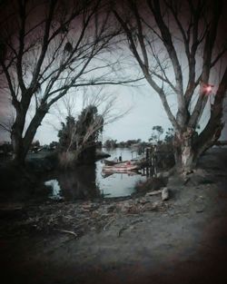 Reflection of bare trees in water