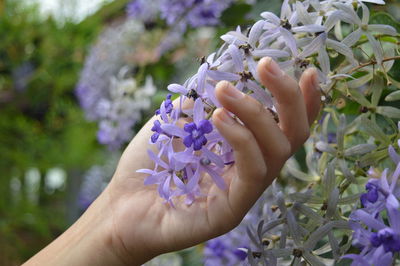 Close-up of hand holding flower