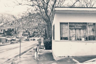 Bare trees in front of building