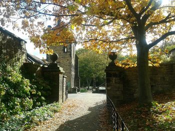 Walkway along trees