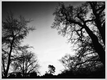 Low angle view of silhouette trees against clear sky