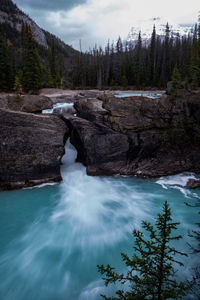 Scenic view of stream flowing through rocks in forest