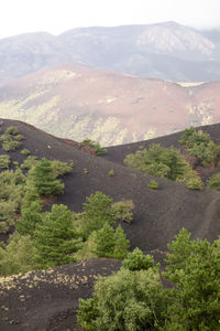 Scenic view of mountains