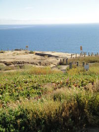 Scenic view of sea against sky