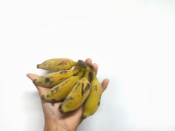Midsection of person holding fruit against white background
