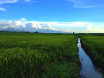 Scenic view of field against cloudy sky