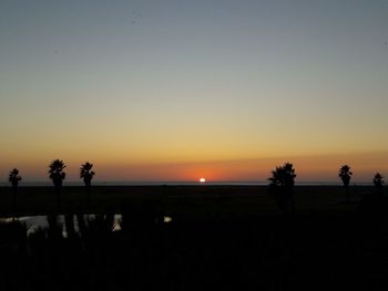 Silhouette trees on field against orange sky