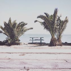 Palm trees on beach against clear sky