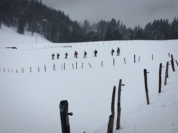 Flock of birds on snow covered field against sky