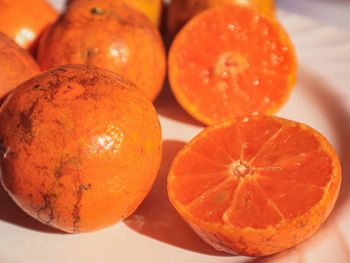 Close-up of oranges on table