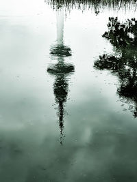 Reflection of tree in puddle