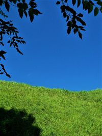 Scenic view of field against clear blue sky