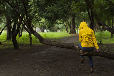 Rear view of man on yellow road amidst trees