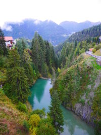 Scenic view of lake amidst trees against sky