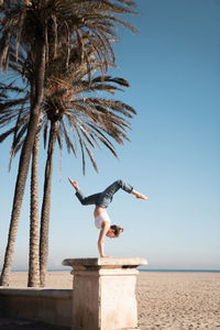 Full body side view of sporty female performing headstand on stone pillar on sandy beach with green palms against sea