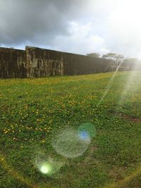 Scenic view of grassy field against sky