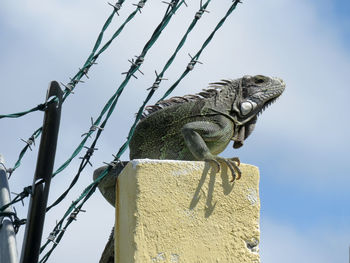 Low angle view of statue against clear sky