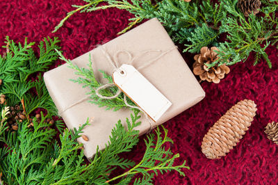 Text on christmas tree