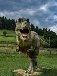 View of a horse on field