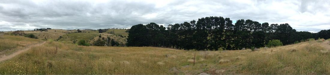 Panoramic view of landscape against sky