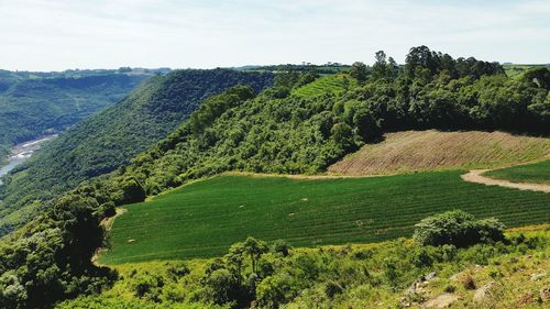 High angle view of green landscape against sky