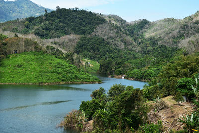 Scenic view of river in forest against sky