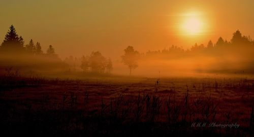 Scenic view of field against sky during sunset