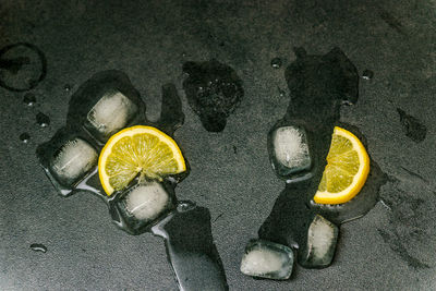High angle view of yellow lemon on ice
