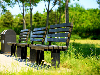 Empty bench on grassy field