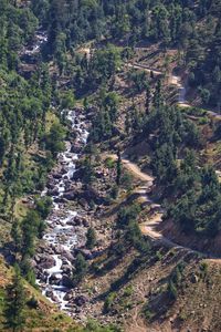 High angle view of trees on land