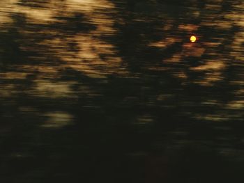 View of trees at night