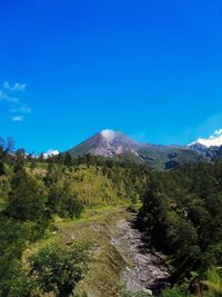 Scenic view of landscape against blue sky