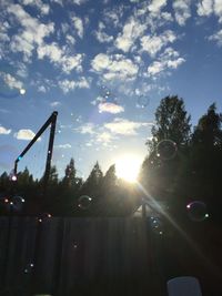 Low angle view of sunlight streaming through trees