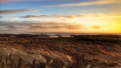 Scenic view of sea at sunset