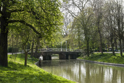 Arch bridge over river in park