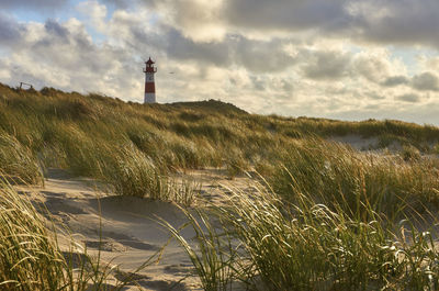 Lighthouse by bushes at sandy beach against cloudy sky