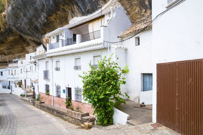 Residential buildings by street in city