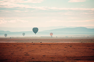 Hot air balloons flying over field against sky