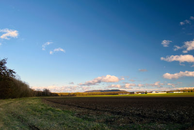 Scenic view of field against blue sky