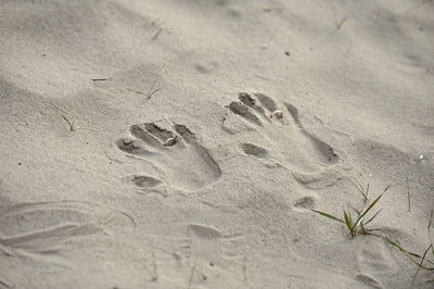 High angle view of handprints and wedding rings on sand at beach