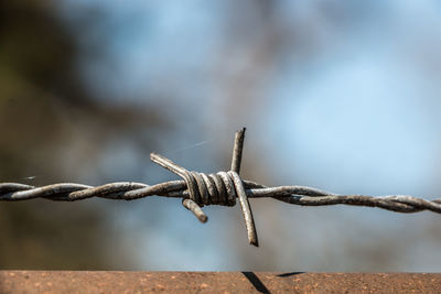 Close-up of barbed wire