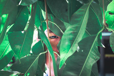 Portrait of young man with green leaves