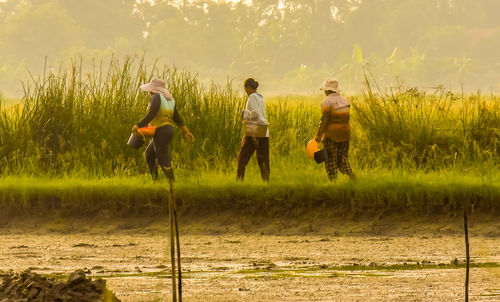 Rear view of people walking on field