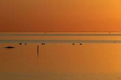 Scenic view of sea at sunset